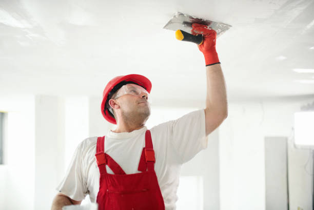 Toledo, OH Dry wall and painting Company